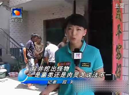 自慰器“肉灵芝”走红网络 最纯情女记者（图）